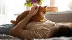 Váš chlpatý malý liečiteľ: Prečo k vám mačka prichádza, keď sa necítite dobre?