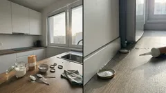 Šváby v byte sa vracajú? Jednoduchá návnada zo sódy a cukru a pár krokov, ktoré rozhodujú